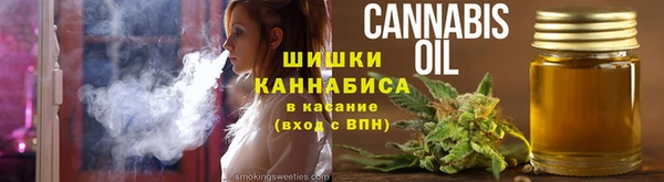 мдпв Мегион